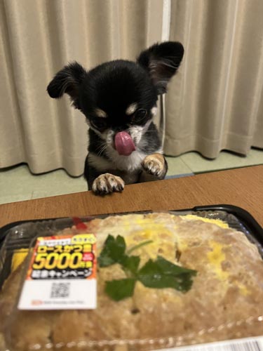 ちゃま
